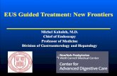 EUS Guided Treatment: New Frontiers - Advance … Michel KL...EUS Guided Treatment: New Frontiers Michel Kahaleh, ... General anesthesia: ... Transluminal or transpapillary drainage.