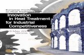 European Conference on Heat Treatment 2008 … Petta - Houghton Italia ... atmospheres and quenching means, ... Innovation in Heat Treatment for Industrial Competitiveness.