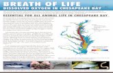 DISSOLVED OXYGEN IN CHESAPEAKE BAY - EcoCheck · BREATH OF LIFE DISSOLVED OXYGEN IN ... essentially the same in all species with one major difference: worms, fish, ... HISTORY OF