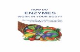 HOW DO ENZYMES - Jigsaw Health DO ENZYMES WORK IN YOUR BODY? By ... The role of enzymes in the cycle of life. A tree grows... It blooms... ... If you cannot do this you should supplement