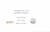 Phylogenetics in R package phangorn - rug.mnhn.frrug.mnhn.fr/semin-r/PDF/semin-R_phylogenetics_KSchliep_180310.pdf · Phylogenetics in R package phangorn Klaus Schliep Outline ...