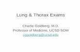 Lung & Thorax Exams - University of California, San Diegomeded.ucsd.edu/clinicalmed/pe_lungexam.pdf · Lung & Thorax Exams Charlie Goldberg, M.D. ... Anatomy Of The Spine Cervical: