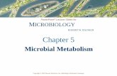 Microbial Metabolism - Rancho Santiago Community …rms.rsccd.edu/faculty/KathyTakahashi/Bio229/ExamIIPosted/MetA.pdf · Microbial Metabolism . Copyright © 2004 Pearson Education,