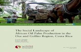 The Social Landscape of African Oil Palm Production in …inogo.stanford.edu/sites/default/files/African palm social... · The Social Landscape of African Oil Palm Production in the