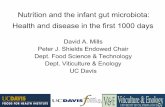 Nutrition and the infant gut microbiota: Health and ...iom.nationalacademies.org/~/media/Files/Activity Files/PublicHealth...Nutrition and the infant gut microbiota: Health and disease