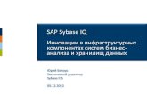 SAP Sybase IQ - citia.co.uk · SAP Sybase IQ Инновации в инфраструктурных компонентах систем бизнес- анализа и хранилищ
