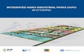 INTEGRATED AGRO-INDUSTRIAL PARKS (IAIP s) IN … · (132 KV) (Three phase and active/re- ... Statistical Report on the 2014 urban employment unemployment Survey ... INTEGRATED AGRO-INDUSTRIAL