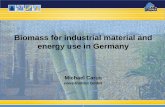 Biomass for industrial material and energy use in Germanyiet.jrc.ec.europa.eu/remea/sites/remea/files/files/... ·  · 2013-04-02Biomass for industrial material and energy use in