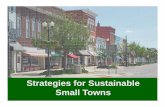 Strategies for Sustainable Small Towns Towns Big Ideas - Allan Hooper.pdf · new markets. Stage 4: Decline ... too much on businesses in their mature and declining phases 2. ... some