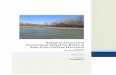 Animas River Pedestrian Bridge at Aztec Ruins National ... · Animas River Pedestrian Bridge at Aztec Ruins National Monument Biological ... Wetland Delineation Manual ... the locations