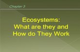 Ecology: Study of how organisms - Engineers' Class · Ecology: Study of how organisms interact with each other and with their ... rocks, heat, and solar energy. 2. Biotic factors