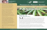 Marijuana - Teens - Drug Information · disadvantage and possibly interfering ... and a vast number of other slang terms — is a greenish-gray ... Marijuana users who have taken