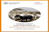 Global control and eradication of - Home: OIE - World ... control and eradication of ... the Middle East and Asia − regions that are home to over 80 percent of the world’s sheep