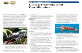 U.S. Fish & Wildlife Service CITES Permits and Certificates. Fish & Wildlife Service What is CITES and how does it apply to me? The Convention on International Trade in ... Contact