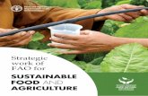 SUSTAINABLE FOOD AND work of FAO for STRATEGIC PROGRAMME TO MAKE AGRICULTURE, FORESTRY AND FISHERIES MORE PRODUCTIVE AND SUSTAINABLE SUSTAINABLE FOOD AND AGRICULTURE 2 FOR MORE INFORMATION