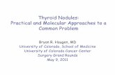 Thyroid Nodules: Practical and Molecular … Nodules: Practical and Molecular Approaches to a ... DTC stage mean TSH I/II ... ATA guidelines, Cooper DS, Thyroid, 2009. US features