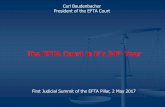 The EFTA Court in it’s 24 Year · The EFTA Court in it’s 24th Year ... Succession of contracts under the transfer of undertaking ... In 11 cases the Court has referred to ECtHR