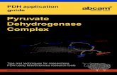 Pyruvate Dehydrogenase Complex - Abcamdocs.abcam.com/pdf/metabolism/PDH-application-guide.pdf · The pyruvate dehydrogenase complex ... PDH catalyzes irreversible oxidative decarboxylation