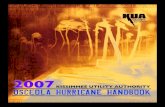 2007 Kissimmee Utility Authority, Osceola Hurricane Handbook · kissimmee utility authority 2007 osceola hurricane ... florida’s memorable hurricanes ... kissimmee utility authority