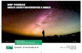 BNP PARIBAS MULTI ASSET DIVERSIFIED 5 INDEX PARIBAS MULTI ASSET DIVERSIFIED 5 ... 0.50% per annum and are published on Bloomberg under ... Volatility is the amount of price variation