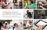 buSineSS credit sCorinG eXplained - NatWest Bankbusiness.natwest.com/content/dam/natwest_com... · What small business owners need to know about managing their applications for finance
