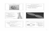 Biol 102 Chapter 11 - WOU Homepage - Westernkissanek/Handouts/Handouts/6_Biol 102_Chapter 11.… · 1 Chapter 11: The Continuity of Life: Cellular Reproduction What is Cellular Reproduction?
