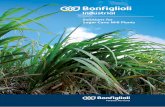 Solutions for Sugar Cane Mill Plants - Bonfiglioli Sugar cane is becoming more and more important and the industry attracting ever greater interest as a result of increased global