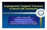 Angiogenesis Targeted Therapies in Renal Cell … Targeted Therapies in Renal Cell Carcinoma John S. Lam, MD Department of Urology David Geffen School of Medicine ... –Neuro: grossly