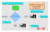 IDENTIFICATION OF 16mm FILM - Brian R Pritchard Identification Version 1.02.pdf · IDENTIFICATION OF 16mm FILM Is the Film Black and White? YES NO ... reversal films ... Check for
