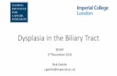 IAP Biliary Dysplasia - British Division of the ...bdiap.org/wp-content/uploads/2017/07/IAP-Biliary-Dysplasia.pdf · Dysplasia in the Biliary Tract BDIAP 2nd ... Proposal of a new