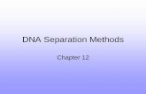 DNA Separation Methods - The University of Vermontbiology/Classes/296D/12_Separation.pdf• Square tooth combs ... • Movement of electrons generates heat ... • Chemicals that keep