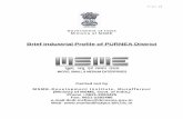 Brief Industrial Profile of PURNEA District - NRCDDP · Brief Industrial Profile of PURNEA District. Carried out by. ... 3.7 Vendorisation / Ancillarisation of the Industry 18 ...