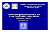 Dewatering Requirements for Low Productivity Gas Wellsalrdc.com/workshops/2010_2010GasWellWorkshop/Private/V... · Dewatering Requirements for Low Productivity ... – Allows for