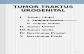 [PPT]TUMOR TRAKTUS UROGENITAL - FK UWKS 2012 C | … · Web viewTUMOR TRAKTUS UROGENITAL I. Tumor Ginjal A. Tumor Grawitz B. Tumor Wilms II. Tumor Urotel III. Tumor Testis IV. Karsinoma