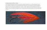 Bright Light Feather Wing - HMH Vises Light Feather Wing.pdf · Bright Light Feather Wing ... butting each turn against the trailing edge of the oval tinsel and ... hook and the body