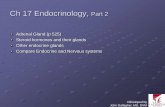 Ch 17 Endocrinology, Part 2 - Las Positas Collegelpc1.clpccd.cc.ca.us/lpc/jgallagher/anat1/Chapter17EndoPart2Marieb.pdfCh 17 Endocrinology, Part 2 Adrenal Gland (p 525) ... Adrenalin®