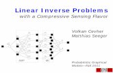 linear inverse problems - lions.epfl.ch programming ... – formulation is very general (and hence adaptable) • Modern progress ... Probabilistic Sparse Recovery: the AMP Way