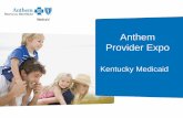 Anthem Provider Expo Ellington Network Relations Specialist Libby.Ellington@anthem.com Christine Goetz Patient Centered Care Consultant ... Anthem Provider Expo Author:
