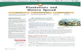 Plantations and Slavery Spreadtextbook.s3.amazonaws.com/Creating America/11.2... ·  · 2011-03-19Plantations and Slavery Spread ... Only about one-third of white families owned