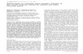 Setting gene restraint Sex combs activity by homeotic G.Petitt3, Sarah M.Smolik4 and Matthew P.Scott5 Departments of Developmental Biology and Genetics, Stanford University School