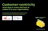 Lessons from the Gas Networks Ireland award winning ... · Lessons from the Gas Networks Ireland award winning Customer Experience programme. ... The business case All brands have