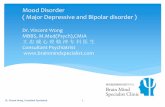 Mood Disorder ( Major Depressive and Bipolar disorder )€¦ · Mood Disorder ( Major Depressive and Bipolar disorder ) ... Mentally ill people tend to be lazy ... Normal Sadness