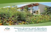 Native Prairie and Meadow Gardens and Landscapes · sunlight, consider a woodland garden. To add visual appeal to woodlands and to create micro-habitats, ...