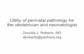 Utility of perinatal pathology for the obstetrician and ...€¦ · Utility of perinatal pathology for the obstetrician and neonatologist ... Study design • Database of well ...
