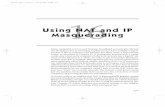 Using NAT and IP Masquerading - pearsoncmg.comptgmedia.pearsoncmg.com/images/0201738279/samplechapter/smithch16.pdfUsing NAT and IP16 Masquerading ... as described in Chapter 15, ...