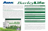 BarleyLife - The AIM Companiestheaimcompanies.com/datasheets/2/65E.pdf · ley grass juice powder concentrate that helps provide the daily ... BarleyLife is available in a ... BarleyLife