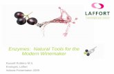 Enzymes: Natural Tools for the Modern Winemaker Natural Tools for the Modern Winemaker Russell Robbins M.S. ... –Certain grape varietals have increased glucanase ... XXX Author: