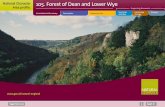 National Character 105. Forest of Dean and ... - fdean.gov.uk · 105. Forest of Dean and Lower Wye Supporting documents ... There is a rich historic environment, including prehistoric