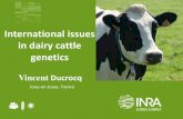 International issues in dairy cattle geneticsold.eaap.org/Previous_Annual_Meetings/2013Nantes/Papers/...vincent.ducrocq@jouy.inra.fr International issues in dairy cattle genetics EAAP