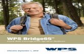 WPS Bridge65 - Consumer Insurance Advocates Bridge 65 Brochure...WPS Bridge65 is designed for people ages 60 to 64, who need health insurance but are not yet eligible for Medicare.